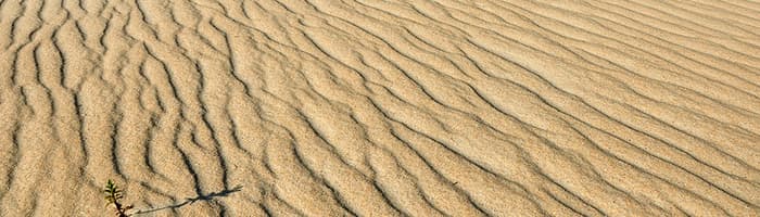 Ko darīt, ja plaisā pēdas?