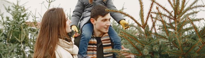 Ziemassvētku eglīte – ne tikai svētku dekors, bet arī sabiedrotais cīņā ar saaukstēšanos