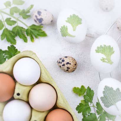 Aptieku darba laika izmaiņas svētkos