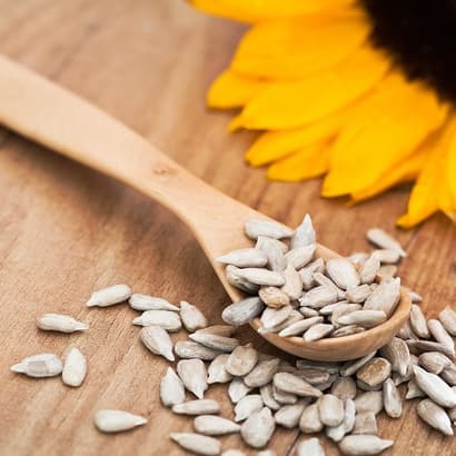 Minerālvielas cilvēka organismā