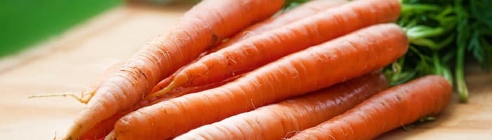 Dobes karalis burkāns: kāpēc tas nepieciešams cilvēka veselībai?