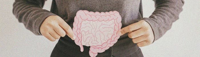 Prebiotikas – sabiedrotais zarnu un vispārējai veselībai