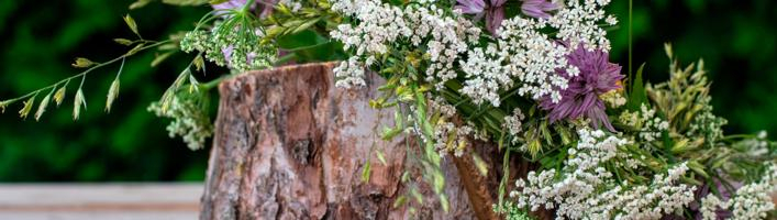 Здоровая и защищенная кожа в солнечный сезон