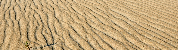 Ko darīt, ja plaisā pēdas?