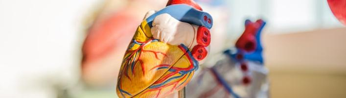 Специалисты предупреждают – болезни сердца актуальны в любом возрасте