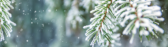 Aptieku darba laiku izmaiņas svētkos!