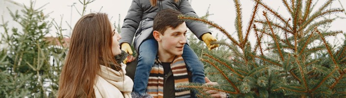 Ziemassvētku eglīte – ne tikai svētku dekors, bet arī sabiedrotais cīņā ar saaukstēšanos