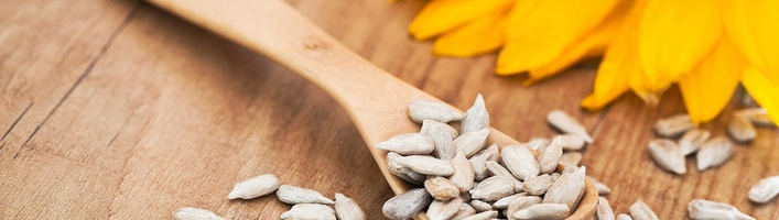 Minerālvielas cilvēka organismā