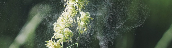 С каждым годом растет количество людей с аллергиями – как себе помочь?