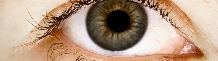 Как сберечь здоровье глазa
