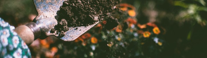 Kā rīkoties izplatītāko dārza darbu traumu gadījumā