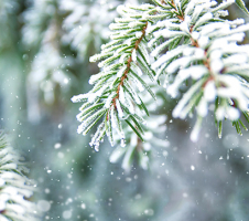 Aptieku darba laiku izmaiņas svētkos!