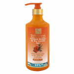 H&B šampūns ar smiltsērkšķu eļļu sausiem krāsotiem matiem, 780 ml