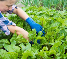 Pasargā sevi no muguras pārpūlēšanas un locītavu sāpēm