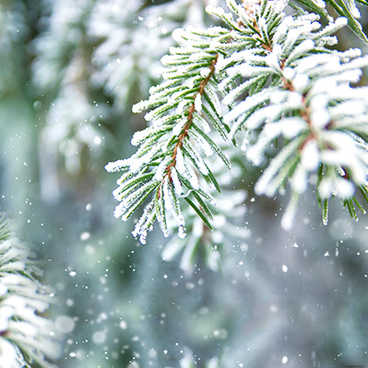 Aptieku darba laiku izmaiņas svētkos!